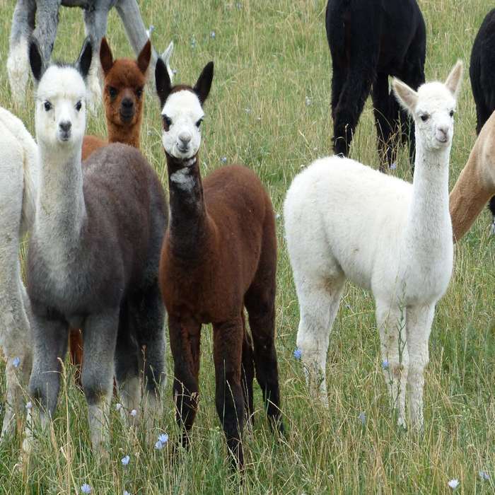 Bild 3 - Welche Materialien halten im Winter wirklich warm? | Stoffe für kalte Tage